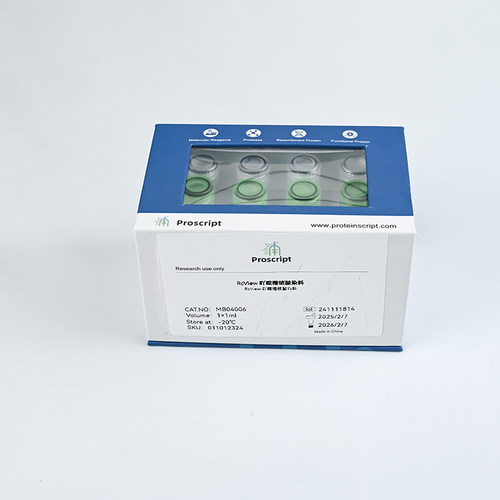 RcView 吖啶橙核酸染料 MB04006 科研试剂 现货供应