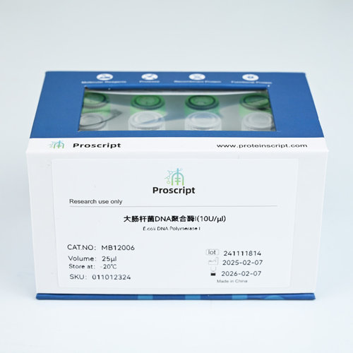 大肠杆菌DNA聚合酶I MB12006 科研试剂 现货供应