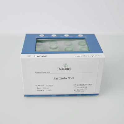 FastEndo® NcoI RE1054 限制性内切酶 克隆 基因构建