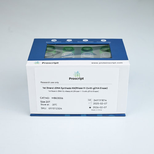 1st Strand cDNA Synthesis Kit(RNase H-)(with gDNA Eraser)