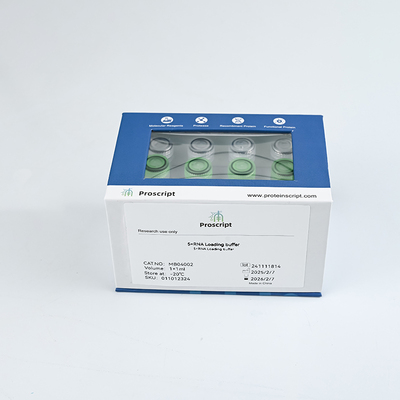 5×RNA Loading buffer MB04002 科研试剂 现货供应
