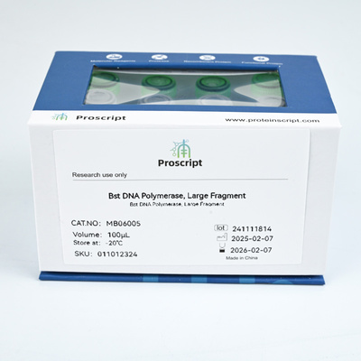Bst DNA Polymerase, Large Fragment MB06005 科研试剂 现货供应