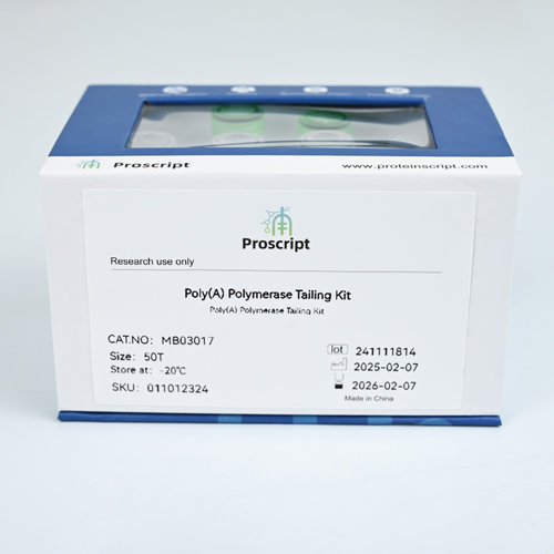 Poly(A) Polymerase Tailing Kit MB03017 科研试剂 现货供应