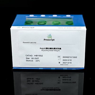Poly(A) Polymerase Tailing Kit MB11052 科研试剂 现货供应