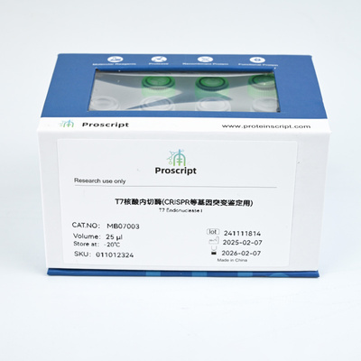 T7 Endonuclease I (CRISPR等基因突变鉴定用) MB07003  科研试剂