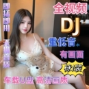 重低音DJ全视频车载U盘新款抖音流行dj舞曲无损高音质车用音乐u盘