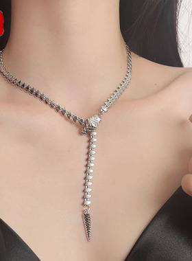 纯银蛇形项链女2023年新款轻奢小众高级感网红爆款欧美夸张锁骨链