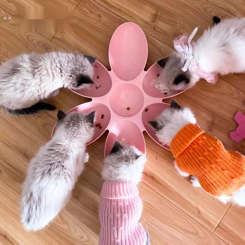猫碗碗幼猫流浪猫喂 食花瓣碗小猫咪防打翻饭碗狗碗狗盆多猫食盆
