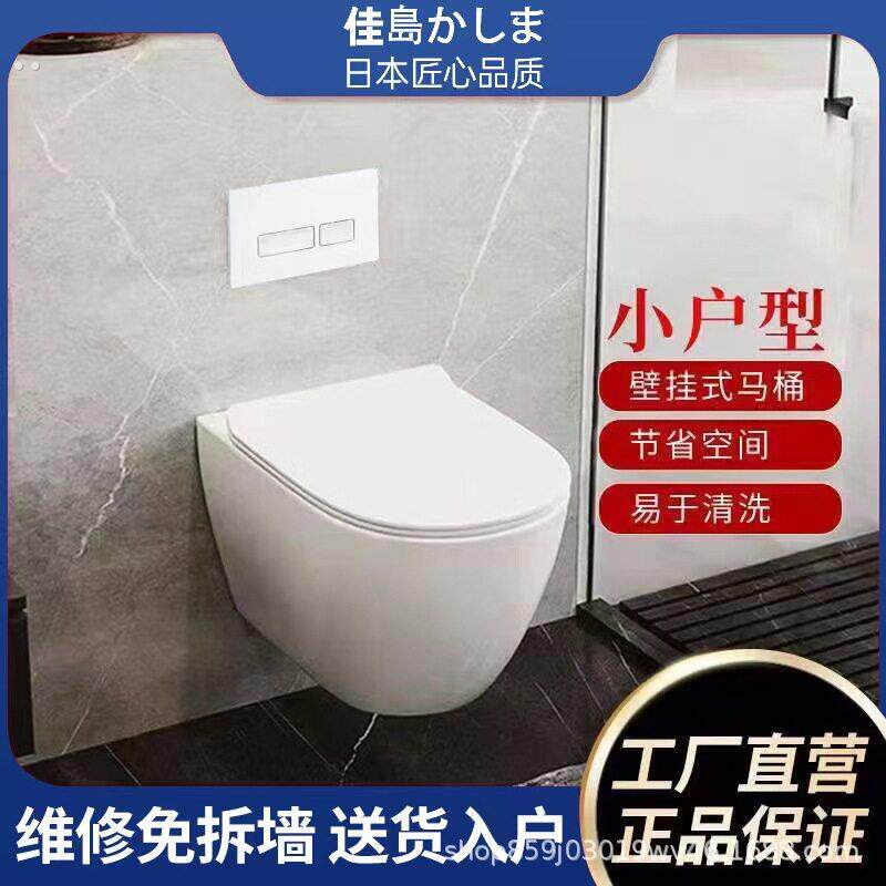 壁挂式普通马桶暗装水箱悬浮马桶小尺寸隐藏式入墙水箱