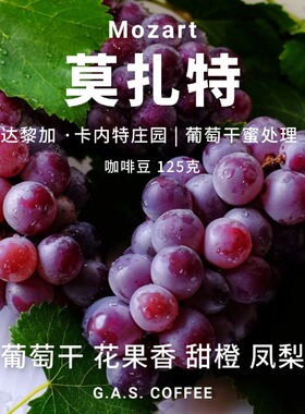 GAS COFFEE莫扎特咖啡豆蜜处理哥斯达黎加音乐家新鲜烘焙125g250g