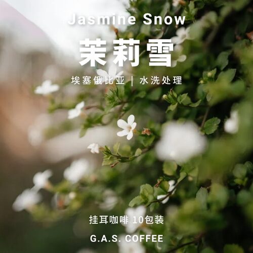 埃塞俄比亚单品咖啡茉莉雪