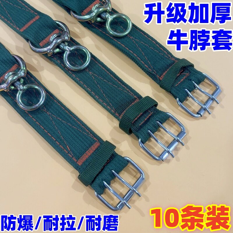 加厚栓牛专用脖套扣保险扣育肥牛6层皮带牛头套养牛场套头项圈