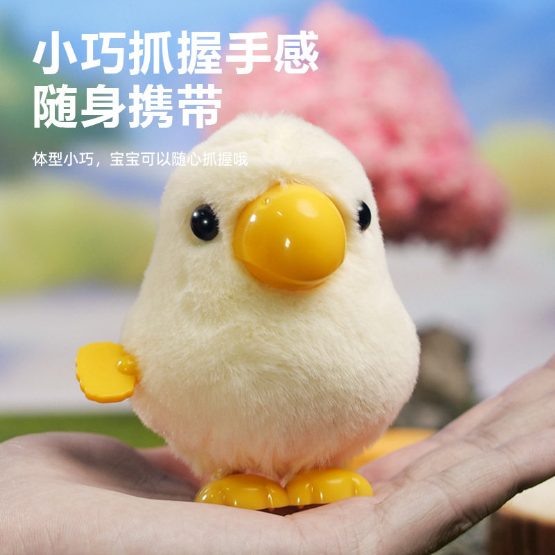 抖音爆款儿童玩具上链发条小鸡仔发条玩具