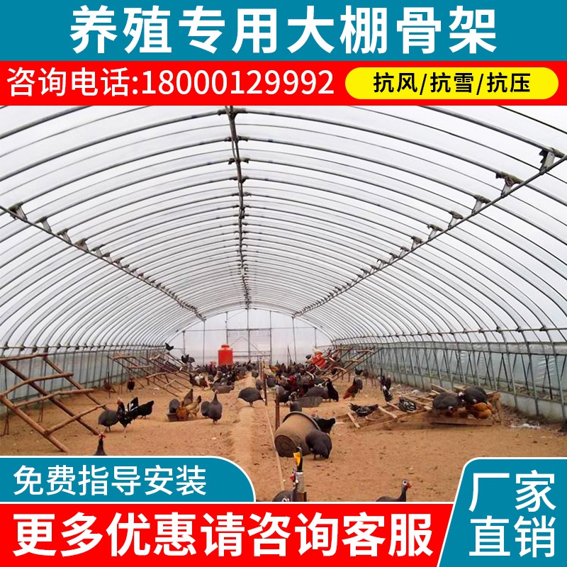 户外搭建猪牛羊圈养殖大棚骨架钢管钢架大棚养鸡鸭鹅