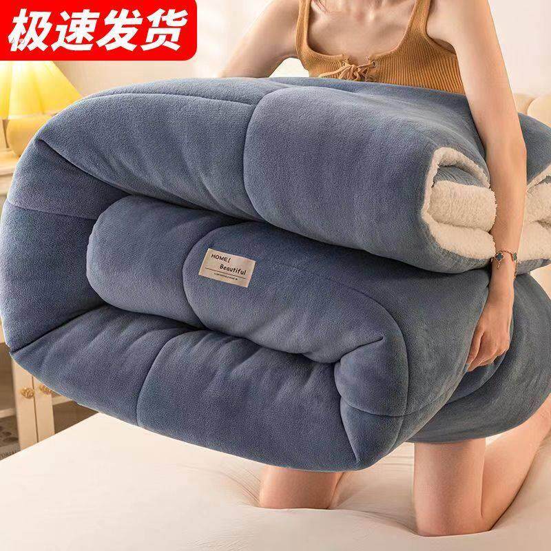 羊羔绒被子冬被10斤棉被加厚保暖秋冬季宿舍单人学生冬天双面被芯