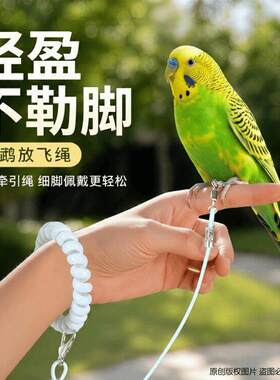 鹦鹉放飞绳不伤脚超轻牵引绳虎皮玄凤牡丹小太阳脚环脚链遛鸟绳子
