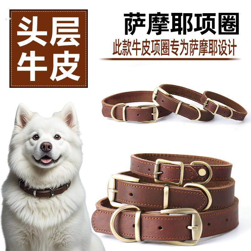 萨摩耶真皮狗项圈脖圈脖套颈圈牵引绳牛皮定制刻字狗牌小中大型犬