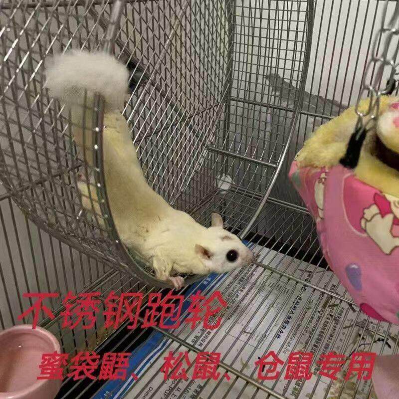 不锈钢蜜袋鼯跑轮松鼠跑轮仓鼠跑轮鹦鹉跑轮刺猬跑轮悬挂跑轮滚轮