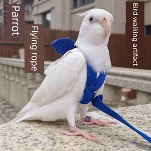 鹦鹉放飞绳子超长遛鸟牵引绳超轻背带式不伤脚虎皮玄风外出飞行绳