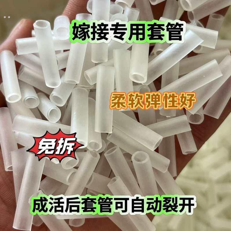 嫁接套管果树花卉百香果月季三角梅嫁接专用套管嫁接神器