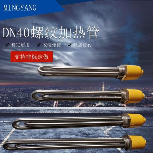 DN40/50大功率水箱锅炉导热油工程空气能电加热棒加热管3