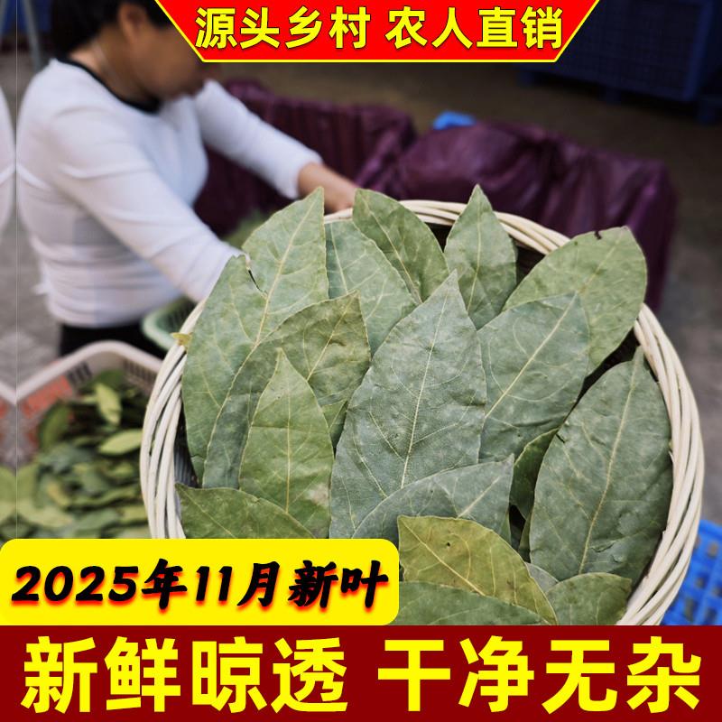 广西崇左野生香叶 食用级香叶500g 天然香辛料家庭商用两用