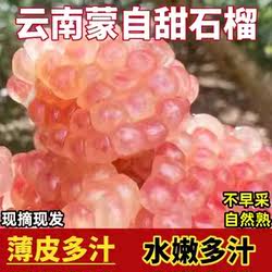 云南蒙自石榴旗舰店当季水果新鲜薄皮硬籽多汁甜石榴现摘现发灵5