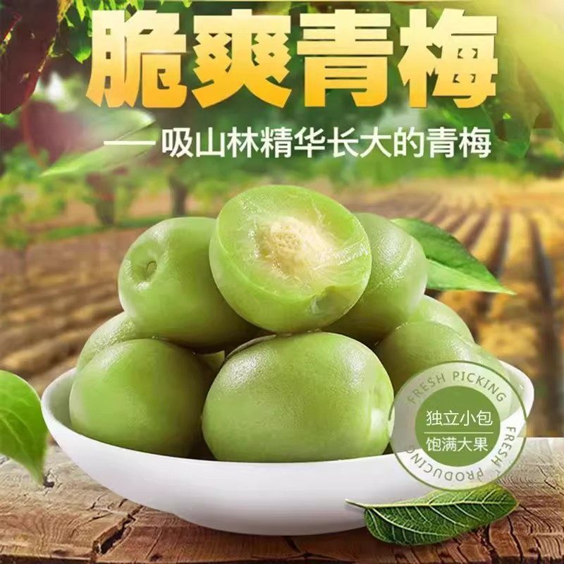 爽口脆梅青梅酸甜脆爽腌制怀旧果干蜜饯清爽梅独立小包装休闲零食