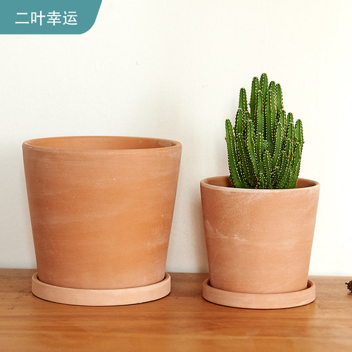 DIY斜边特色透气花盆二叶幸运