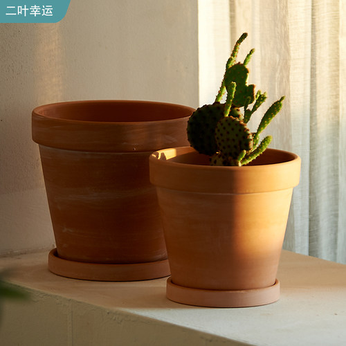 二叶幸运简约高颜值红陶花盆透气