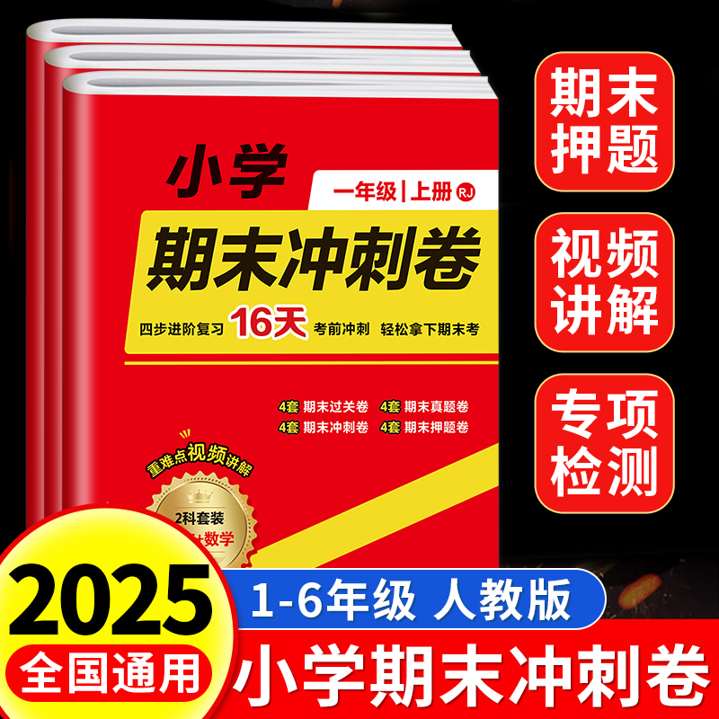 2025新版小学期末冲刺100分试卷
