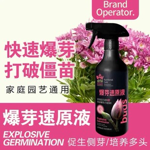 爆芽素原液多肉催芽分化活力素盆栽植物三角梅月季通用生根营养液