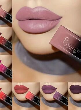 Best Lip Makeup 17 Color Sexy Matte Long Lasting Lipgloss Li