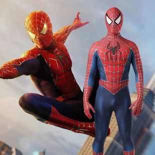 Spiderman Costume Adult Superhero Spider Remy Toby Spider Ma