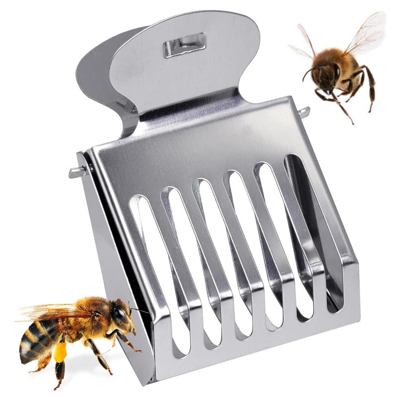 1pcs Bee Queen Cage Transparent Plastic Clip Cage Bee Catche
