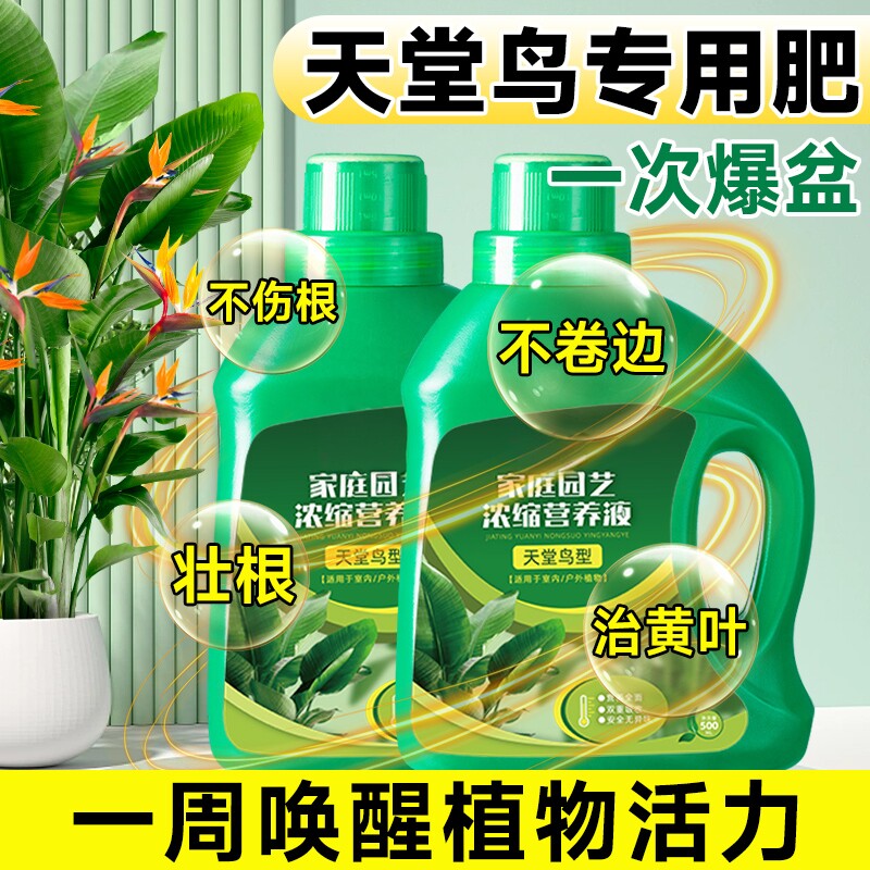 天堂鸟专用肥料绿植养护营养液花肥通用鹤望兰黄叶水培植物液体肥