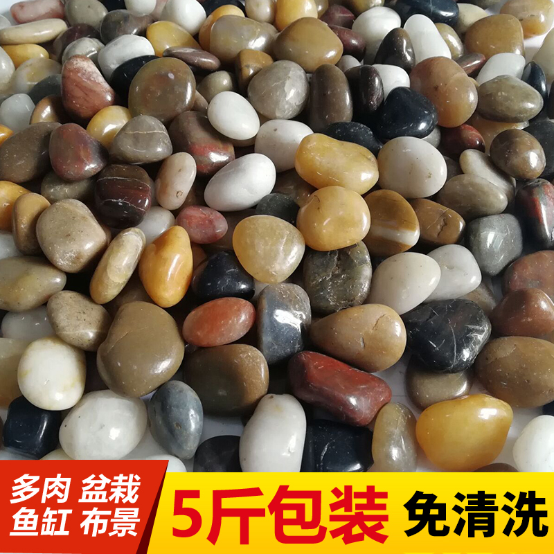 【精抛无杂质】养花鹅卵石