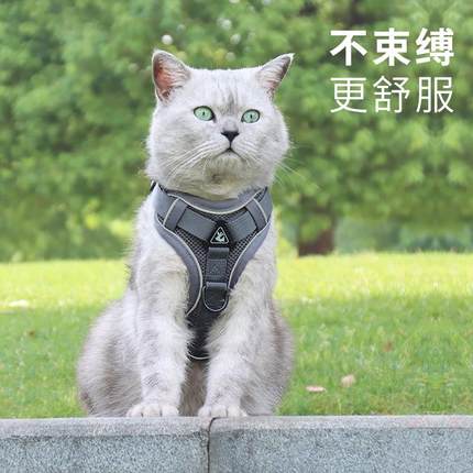 网红猫咪牵引绳背心式外出专用防挣脱遛猫绳自动伸缩背带溜猫链子