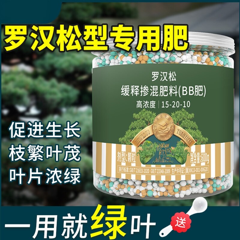 罗汉松专用肥缓释肥泰山松雀舌四季大阪松松树营养液盆景通用肥料