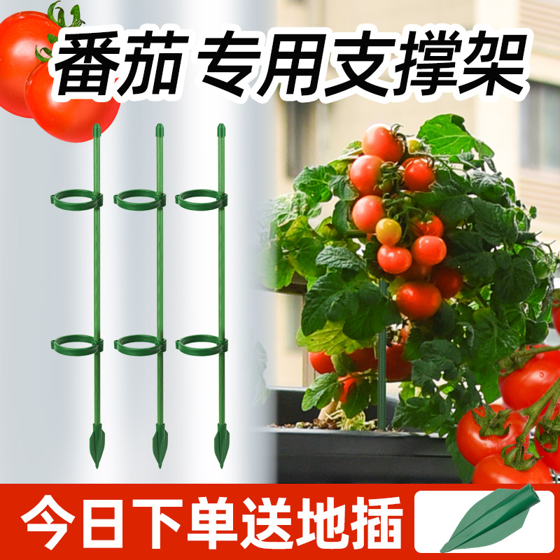 西红柿番茄辣椒固定杆爬藤吊兰园艺花架花支撑架植物防倒伏支撑杆