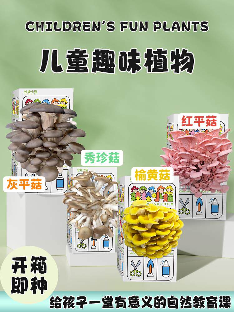 蘑菇种植包儿童种植蘑菇小盆栽学校桌面趣味神奇植物家庭菌菇菌包