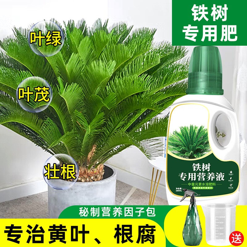 铁树专用营养液叶子发黄花肥硫酸亚铁铁树专用肥料小盆栽营养液