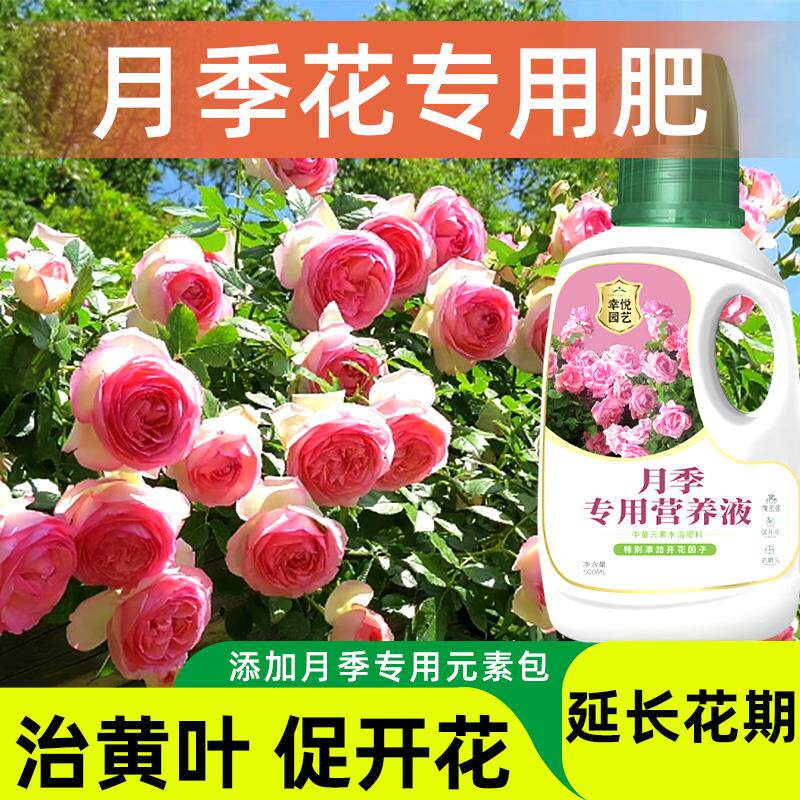 月季花专用营养液月季花肥料专用肥促花养花玫瑰花蔷薇花爆花肥料