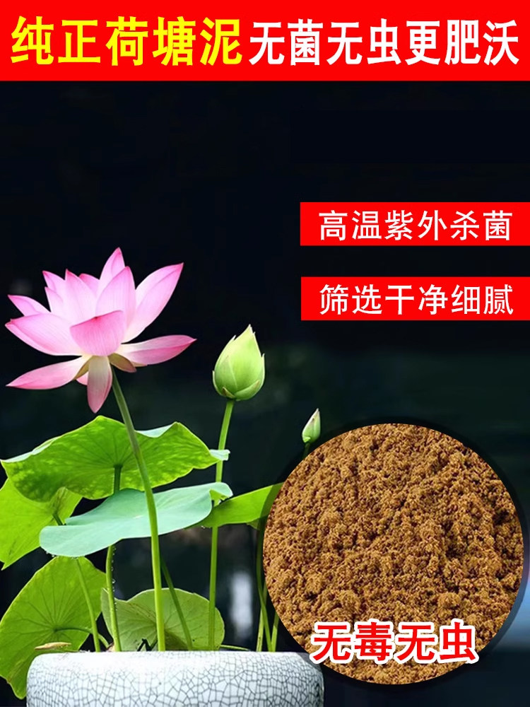 碗莲专用泥荷塘泥土何花塘泥铜钱专用土草淤泥有机莲花河泥池塘泥
