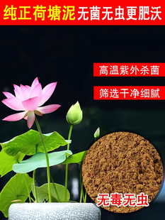 碗莲专用泥荷塘泥土何花塘泥铜钱专用土草淤泥有机莲花河泥池塘泥