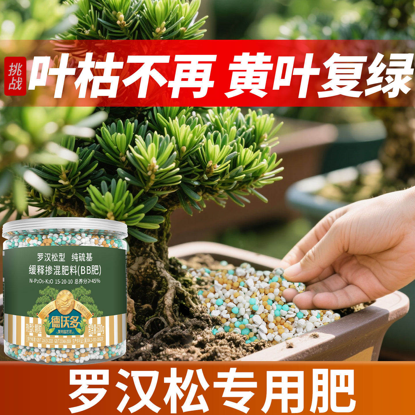 罗汉松专用肥缓释肥泰山松雀舌四季大阪松松树营养液盆景通用肥料,鲜花速递/花卉仿真/绿植园艺,家庭园艺肥料,淘宝优惠券,粉丝福利购,淘宝优惠卷