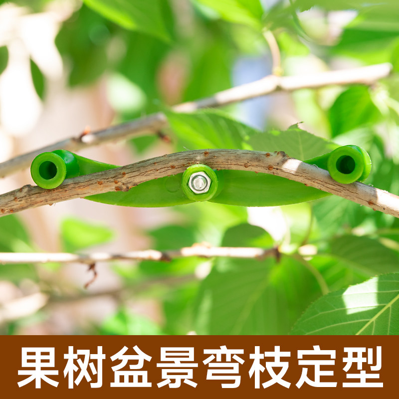 果树拉枝定型器盆景造型拿弯器植树枝条固定弯枝树木直弯器矫正器