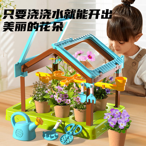 阳光种植房儿童三天发芽四季可种