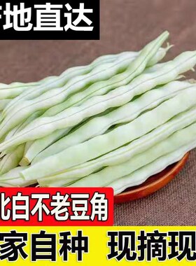 白不老豆角新鲜东北架豆王老来少芸豆四季豆白架豆农家蔬菜1/5斤