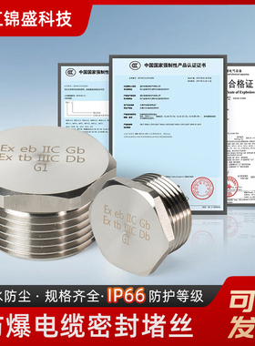 304不锈钢防爆堵头金属实心外丝密封闷盖G1/2M32NPT3/4公制螺纹